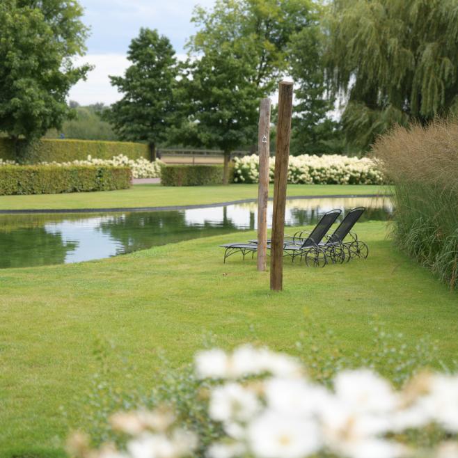 Grote tuin met siergrassen